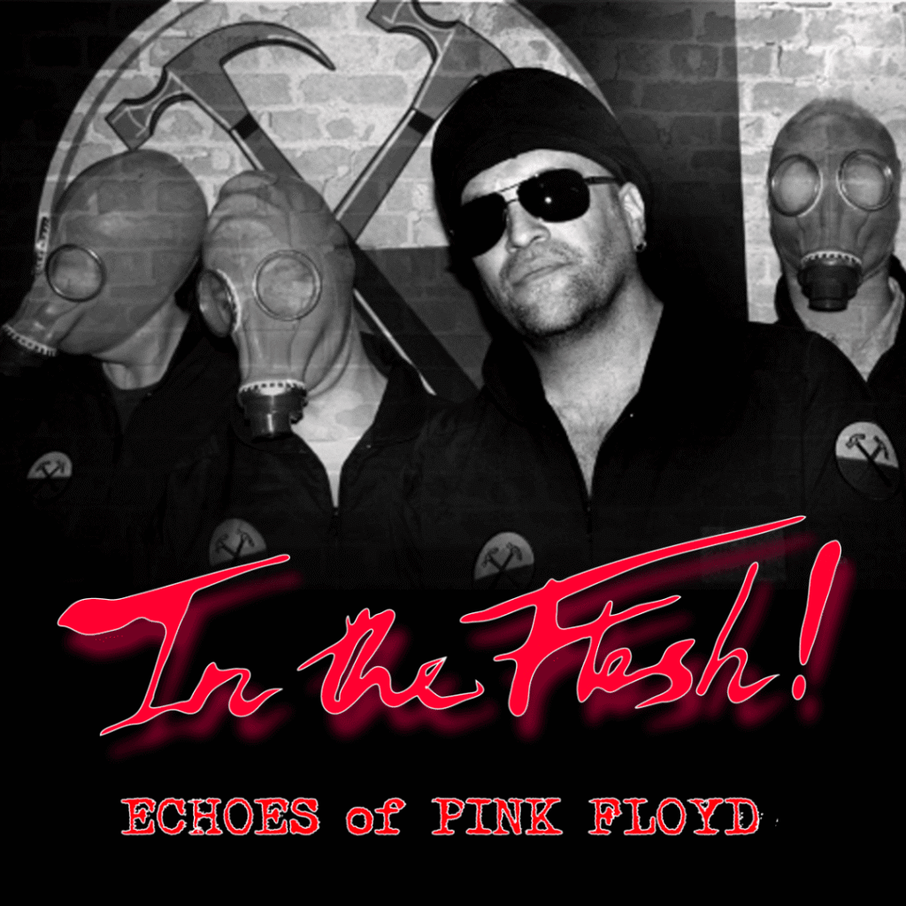 In The Flesh Echoes of Pink Floyd